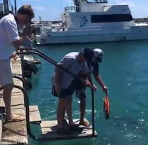 They decided to lower the carcass of a large fish into the water to see if the trevally would bite...