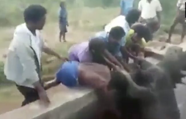 Six locals came to its rescue.
