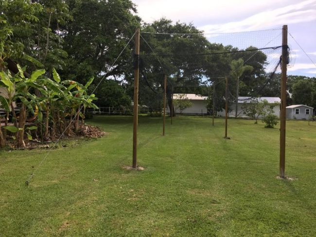 After an animal died when the net was left down, Dad decided to rig a pulley system so the net never lays on the ground when it's not in use. It also helps with mowing the lawn!
