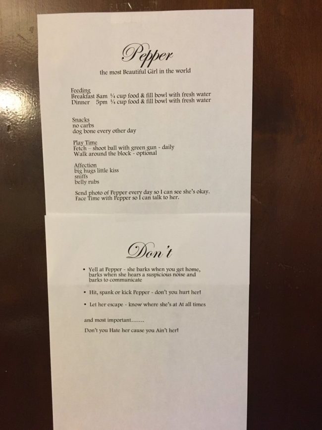 The instructions for feeding, snacks, and play time were pretty normal. Then things started changing when she listed the types of acceptable affection. Photos and FaceTime calls with her furry baby were also a must.