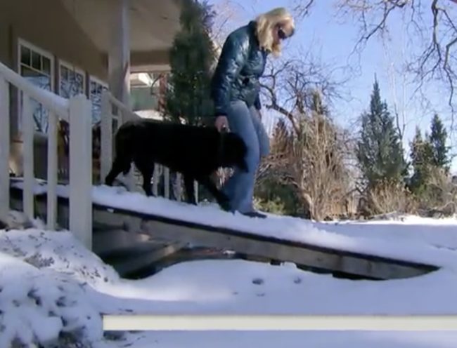 Transitioning from a mailman to a handyman , Kramer worked in the early morning hours on his day off to install a doggy ramp that would help Tashi easily move in and out of his home.