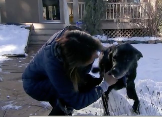 Tashi’s owners would have to carry the pup up and down the steps to greet the mailman.