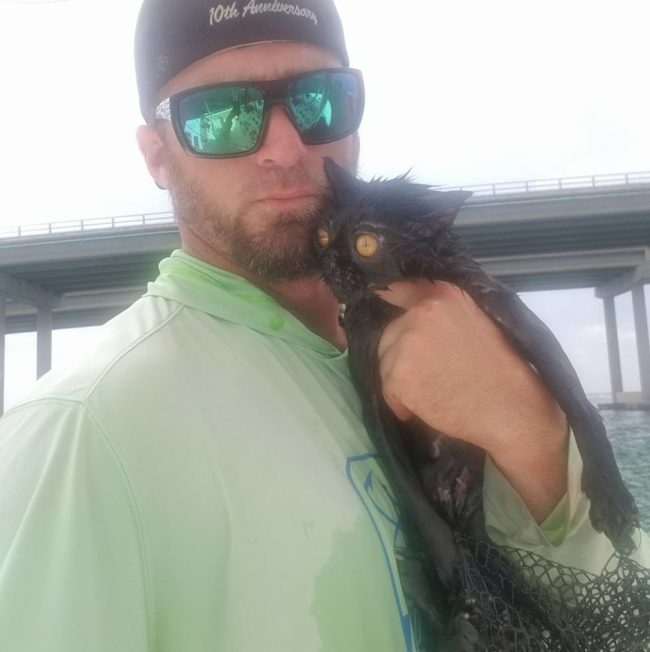 He was out on the water one day when he says he saw a little head trying to stay afloat. He had seen the cat fall from 15 feet up on a nearby bridge, apparently thrown off by an evil human.
