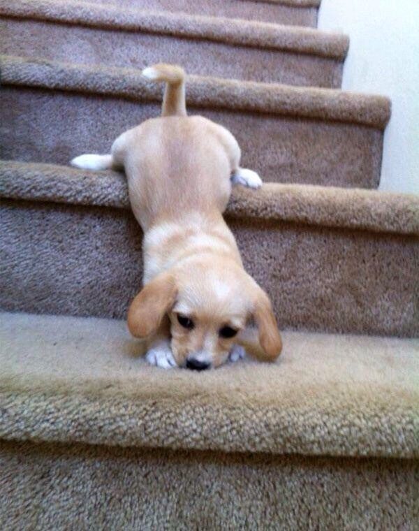 "A little help, please?"