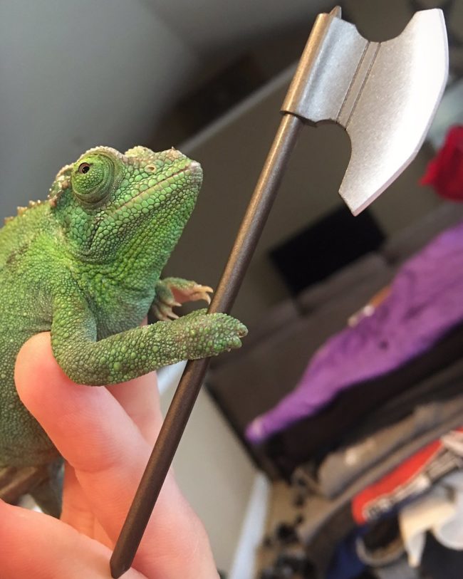 The lizard looked so funny and cute that she didn't just stop there...