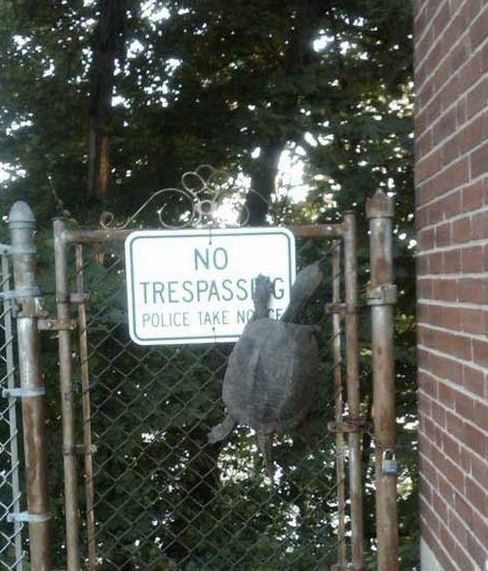 This is no time to just be hanging around.
