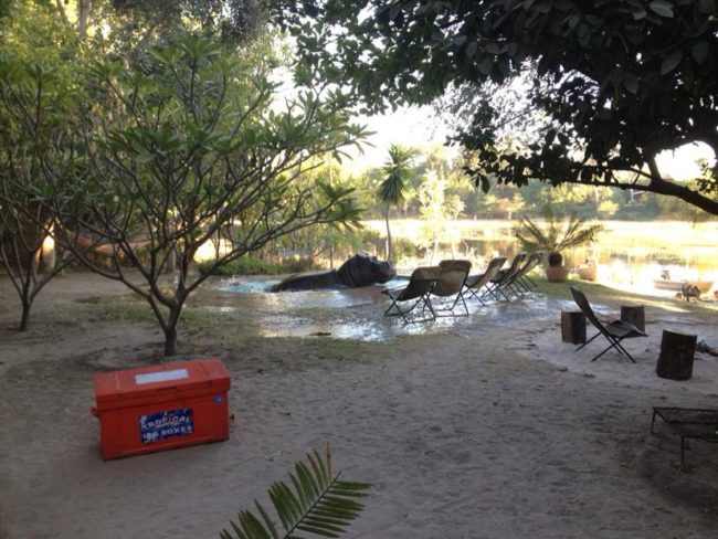 "My aunt and uncle own a backpackers' bar in Africa and woke up today to find this visitor in the pool..."