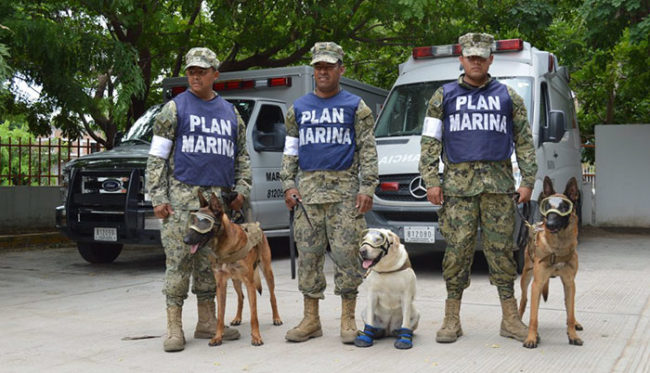 She's part of an amazing team that's doing great work to help find and save people who are trapped. Thanks, Frida!