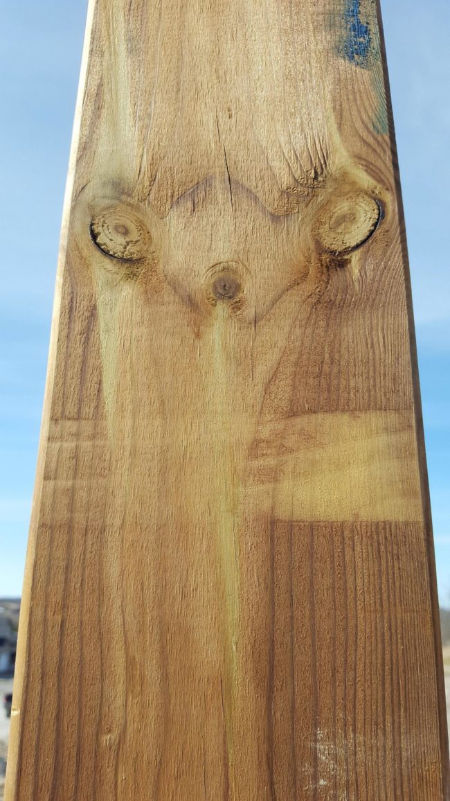 ...Sid the sloth...