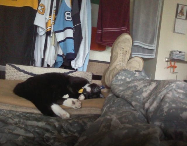 ...where he met a stray kitten who he says saved his life.