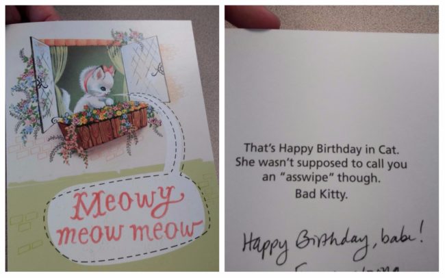 So that's what "meow" means!