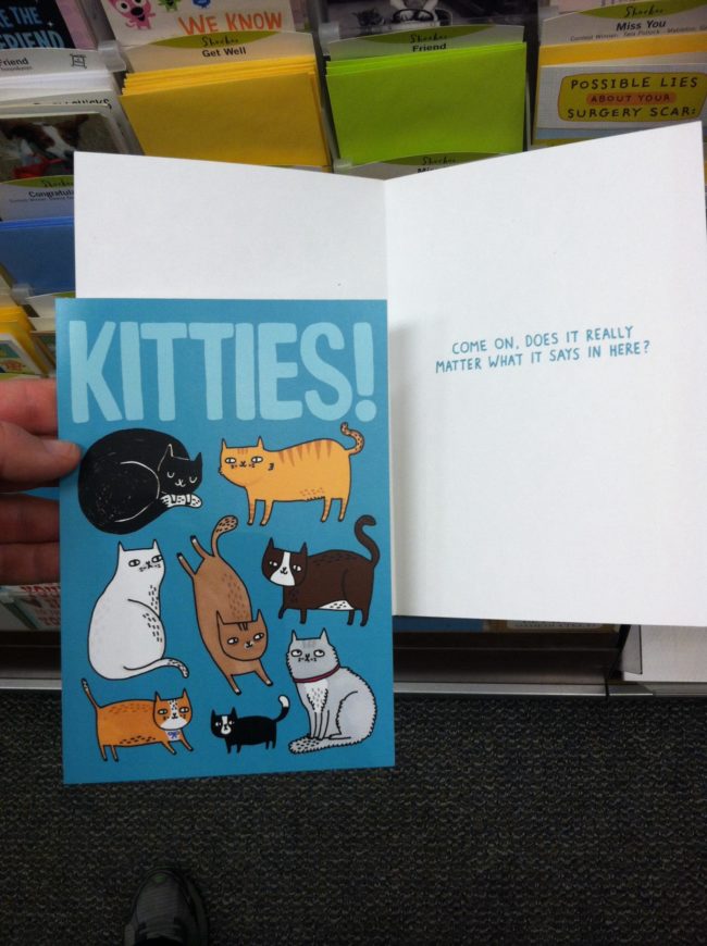 Not when there are kitties!