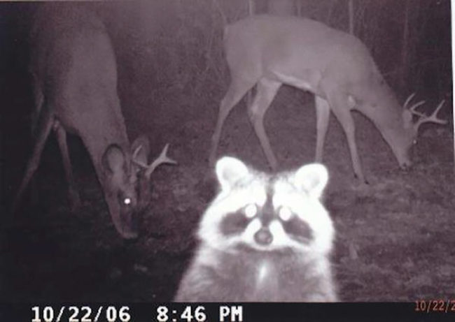 Someone decided to take a selfie when discovering the camera. So much for "hidden"!