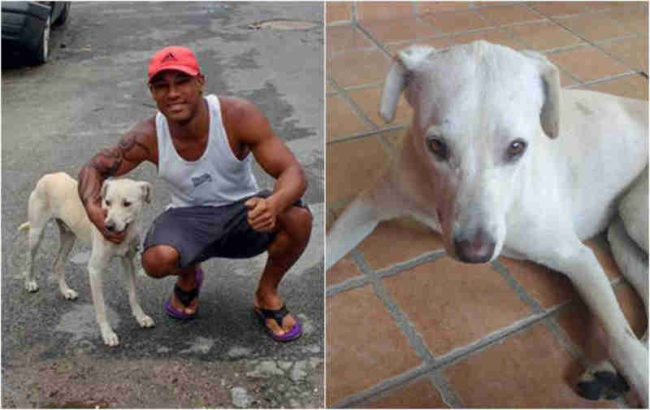 This story could have ended much differently, but it's a happy ending after all for Enzo!