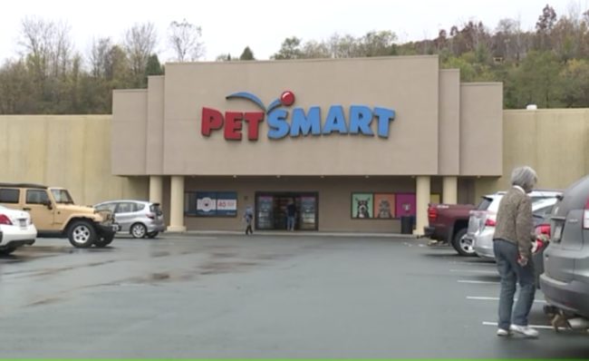 local petsmart stores