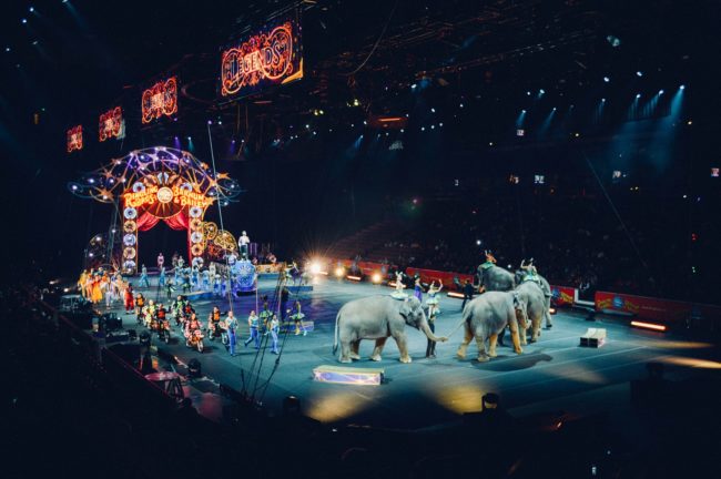 In Ireland last week, Minister of Agriculture Michael Creed signed regulations banning the use of wild animals in circuses. This will go into effect on January 1, 2018. “The use of wild animals for entertainment purposes in circuses can no longer be permitted. This is the general view of the public at large and a position I am happy to endorse,” Creed said.