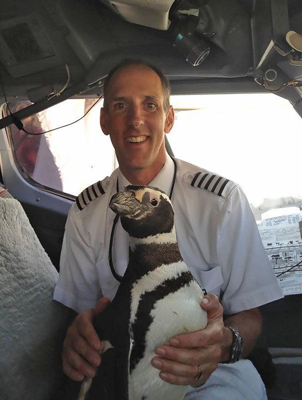 Who says penguins can't fly?