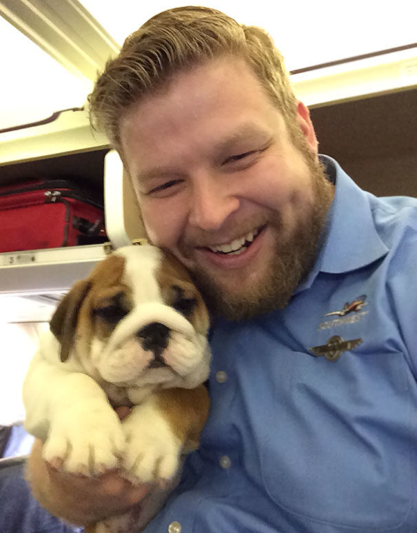 Who could resist cuddling up to this wrinkly poof on a plane ride?