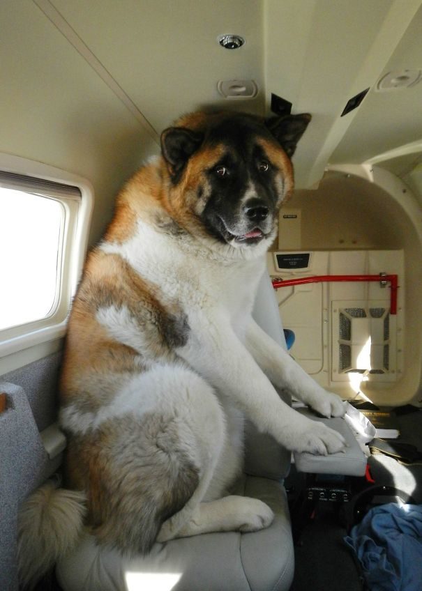 Looks like it's a good thing that Rocky's on a private jet.