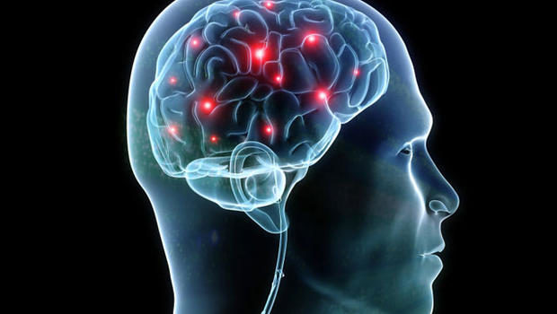 The scientists do believe that consciousness serves a purpose, just not the one we once thought. Oakley and Halligan believe that our consciousness is a communication tool used to help communicate to others our own perceived experiences.