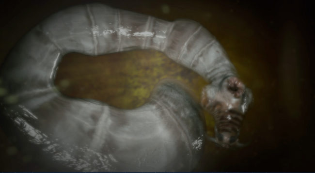 But instead of rodents making up the majority of secondary hosts, it's quite possible that humans can ingest the eggs. In most cases, this will only occur in people who work closely with rodents and similar animals. These can include trappers. Ingesting fruits and herbs found in the wild can also pass on the disease.