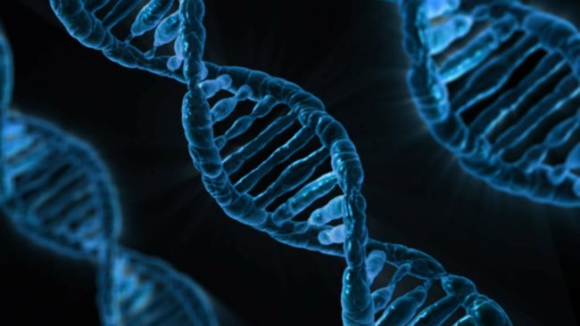 "My wife had been told she was of Native American decent her entire life. Supposedly, her great grandmother was full-blood Native. This is a story her family still preaches to be true. Well, my wife does the DNA test only to discover it matches 100% with folks in Europe. Not a drop of Native American in her." -- pyledrive