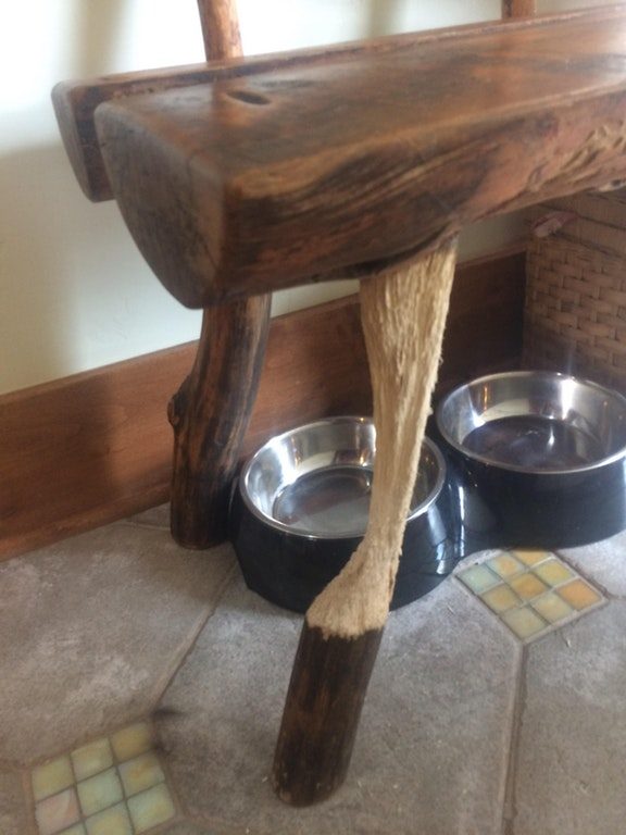"My dad's cat has been scratching the same leg of this bench for the past decade."
