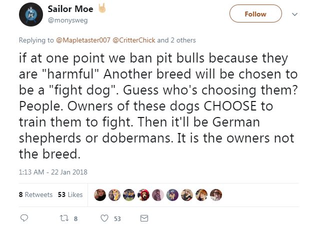 People who watched were quick to point out the glaring fact Phillips declined to address -- there are dog owners, especially those who participate in illegal fighting rings, who intentionally train dogs to be violent and aggressive.