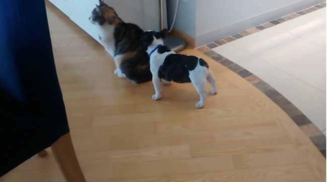 "Don't just stand there like a statue. I know you can hear me."