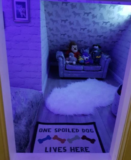 ...but she even got color changing lighting, too!