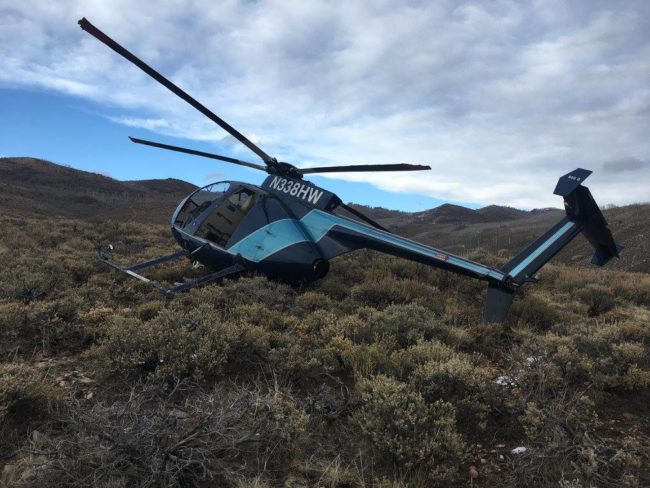 The researchers inside had fired a net at an elk, but this time, the animal hadn't fallen to the ground; rather, it remained on its feet. So when the pilot lowered the helicopter for a landing, the elk jumped unexpectedly, hitting the tail rotor and sending the chopper to the ground.