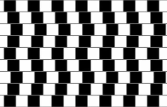 All of these lines are straight.