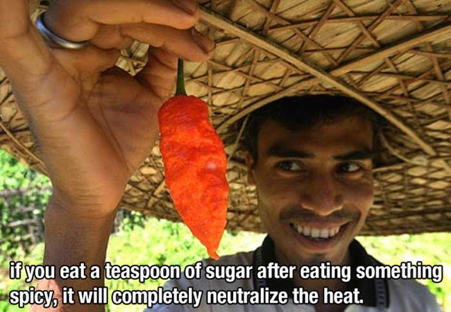 These 30 Completely Useless Facts Are Guaranteed to Make You More