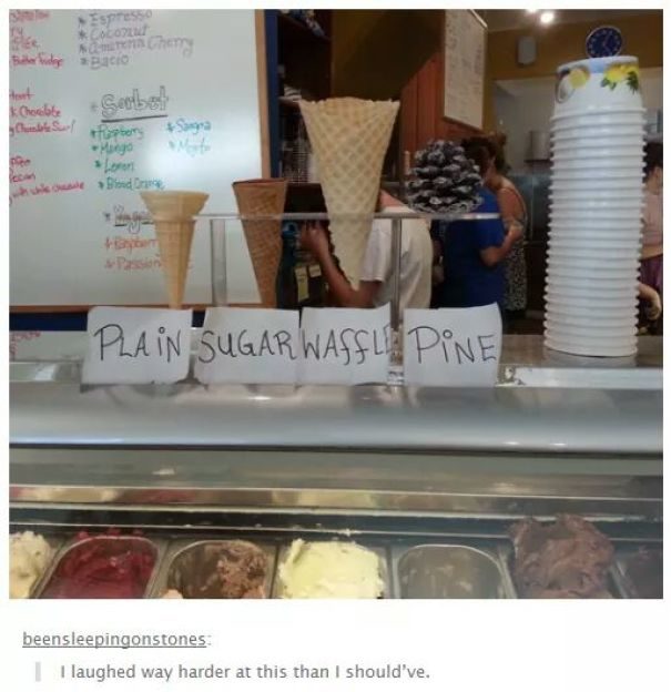 "I laughed too hard at this."